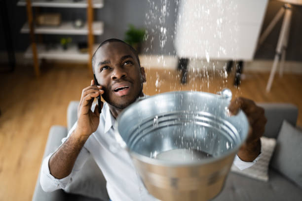 Water damage restoration mold remediation in Heritage Lake, IN