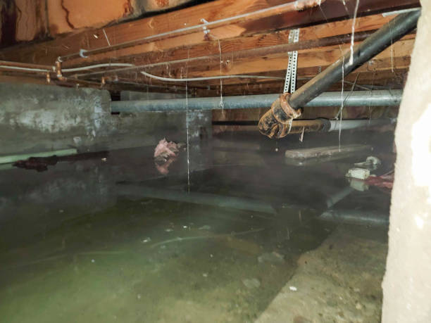 Best Emergency water damage restoration  in Heritage Lake, IN