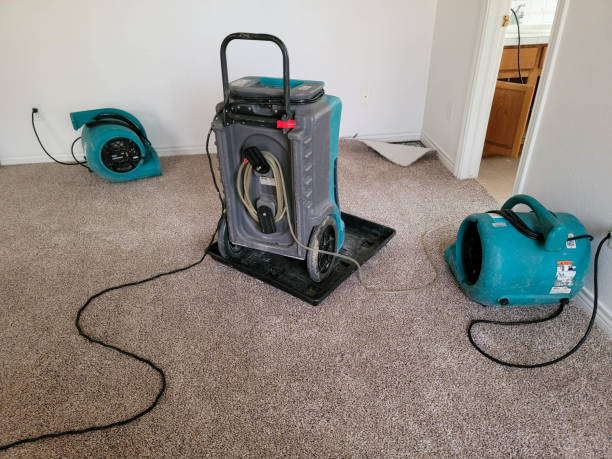 Local water damage restoration in Heritage Lake, IN