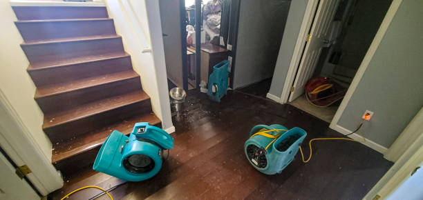 Best Carpet water damage restoration  in Heritage Lake, IN