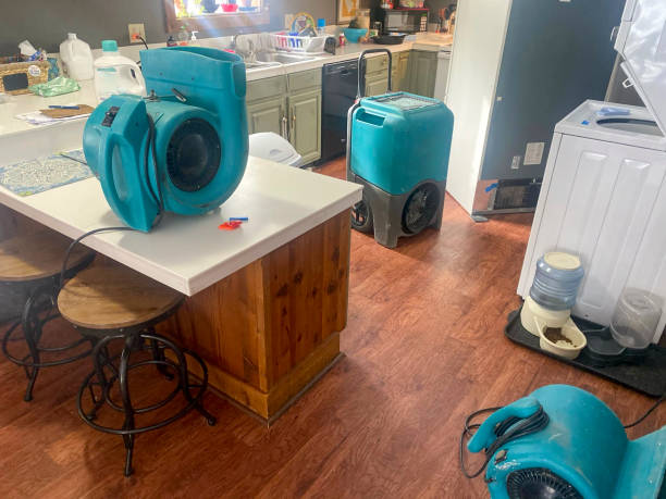 Best Water damage restoration company  in Heritage Lake, IN