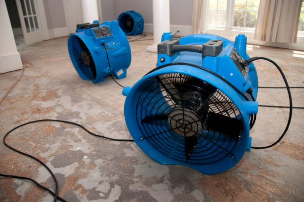 Best Mold removal after water damage  in Heritage Lake, IN