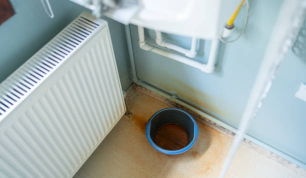 Best Local water damage restoration  in Heritage Lake, IN
