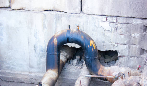 Best Water damage restoration mold remediation  in Heritage Lake, IN