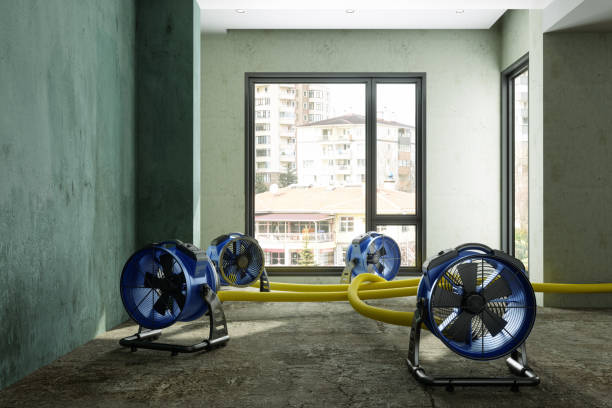 Best Commercial water damage restoration  in Heritage Lake, IN